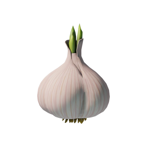 Garlic Extract