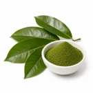 Soursop Leaf