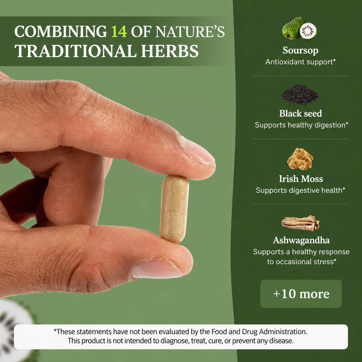 Soursop Capsules: Daily Holistic Blend