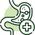 Digestive Balance