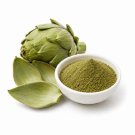 Artichoke Leaf