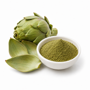 Artichoke Leaf
