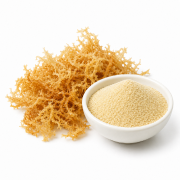 Irish Moss