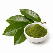 Soursop Leaf