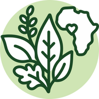 15 African Herbs